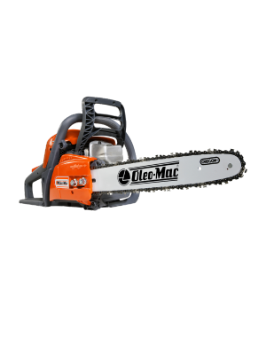 • Bosque y Jardín