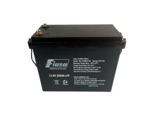 Batería Monoblock de Litio Fiasa® 12300BLFP 218010009