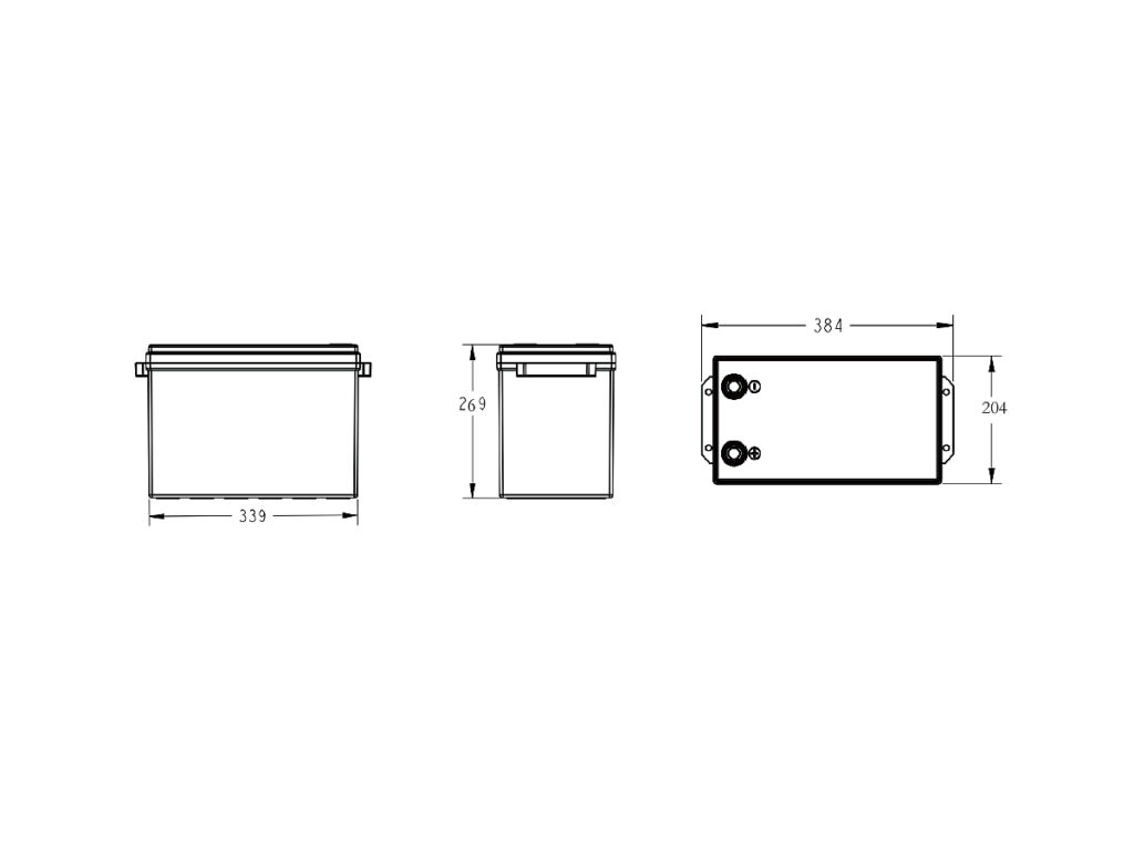 Batería Monoblock de Litio Fiasa® 12300BLFP 218010009